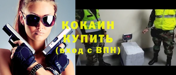 гидра Мегион