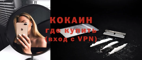 гидра Мегион