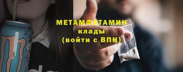 гидра Мегион