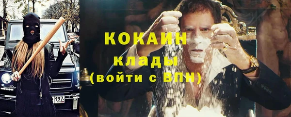 гидра Мегион