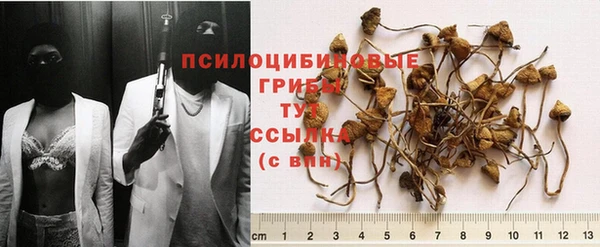 MDMA Медвежьегорск