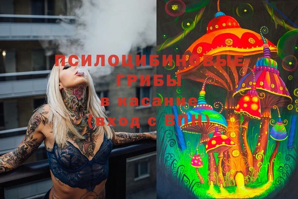 ешки Михайловск