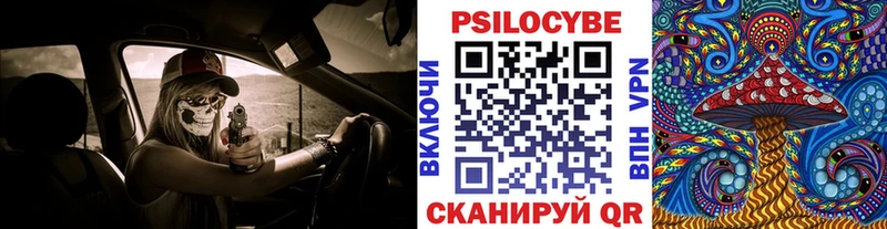 blacksprut маркетплейс  Первомайск  Галлюциногенные грибы Magic Shrooms 
